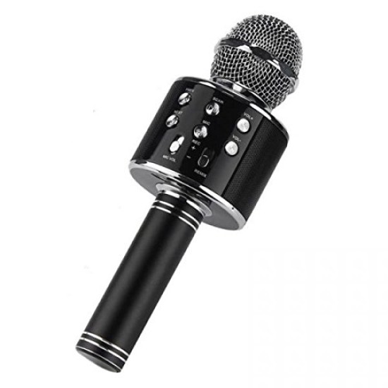iKaraoke WSTER WS-858 Wireless Microphone With Hifi Speaker iKaraoke WSTER WS-858 Wireless Microphone With Hifi Speaker