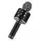 iKaraoke WSTER WS-858 Wireless Microphone With Hifi Speaker iKaraoke WSTER WS-858 Wireless Microphone With Hifi Speaker