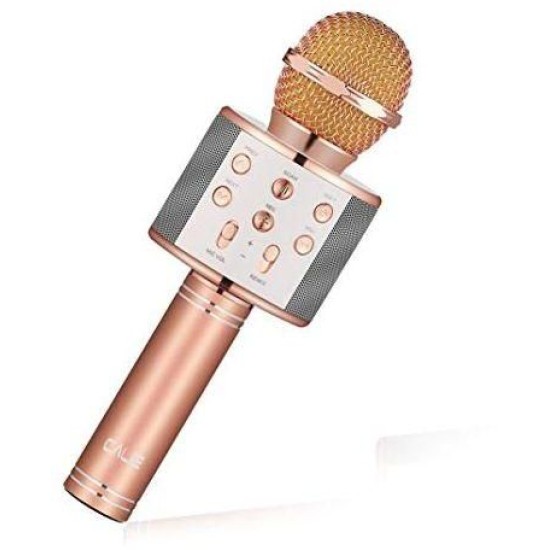 iKaraoke WSTER WS-858 Wireless Microphone With Hifi Speaker iKaraoke WSTER WS-858 Wireless Microphone With Hifi Speaker