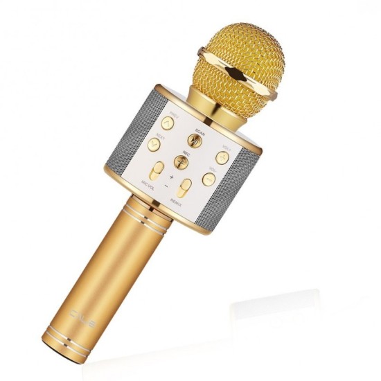 iKaraoke WSTER WS-858 Wireless Microphone With Hifi Speaker iKaraoke WSTER WS-858 Wireless Microphone With Hifi Speaker