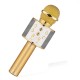 iKaraoke WSTER WS-858 Wireless Microphone With Hifi Speaker iKaraoke WSTER WS-858 Wireless Microphone With Hifi Speaker